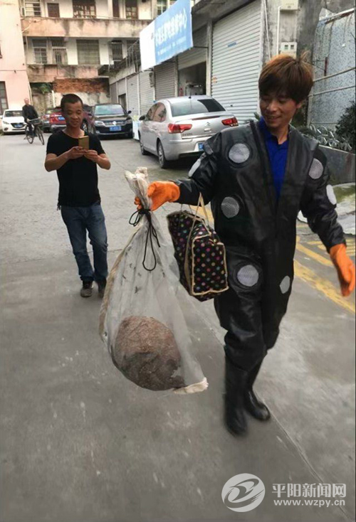 ѡĻţɽԮ