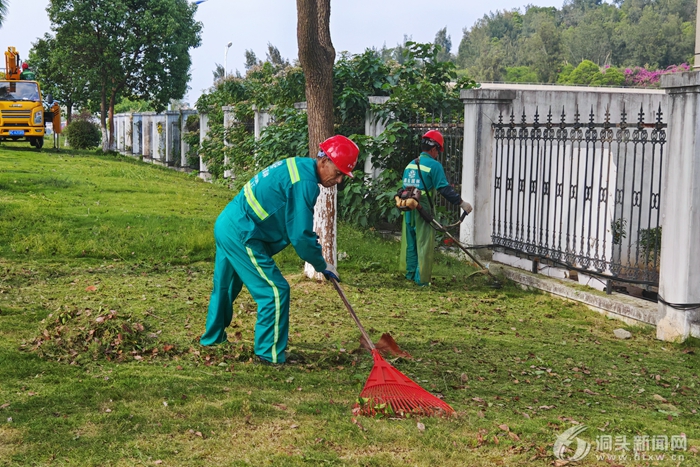 ＾̡ʱ  ѧǿľﶬֿ