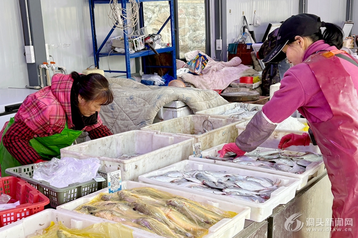 ҸҪ | شȱߺʼ赼 С̯λ𡰴 