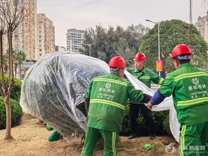 ������Ϯ ��ֲ����ů������ʱ