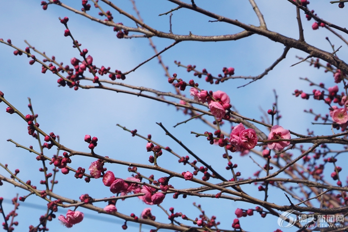 ������ġ�÷�������� �����޶���������