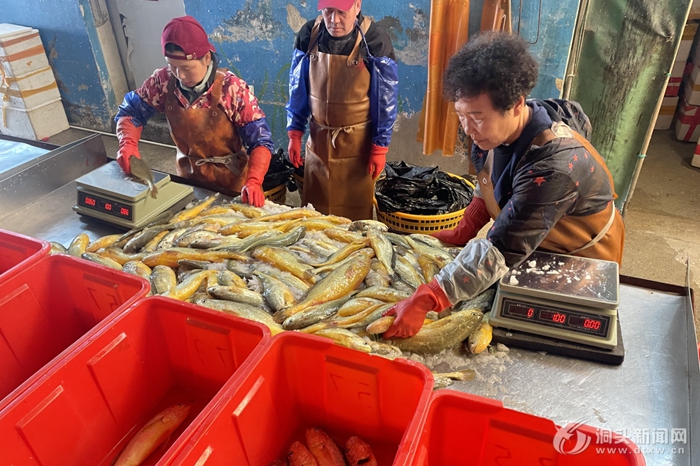 �´��߻���ح�������� ���ݴ����ġ��ʡ���ǧ��