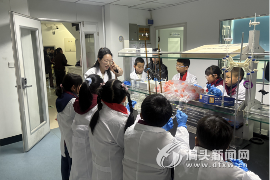 ���г���ֿܾ�չ��ʳ��ͯ�� �����ɳ���ʳ������ʵ��