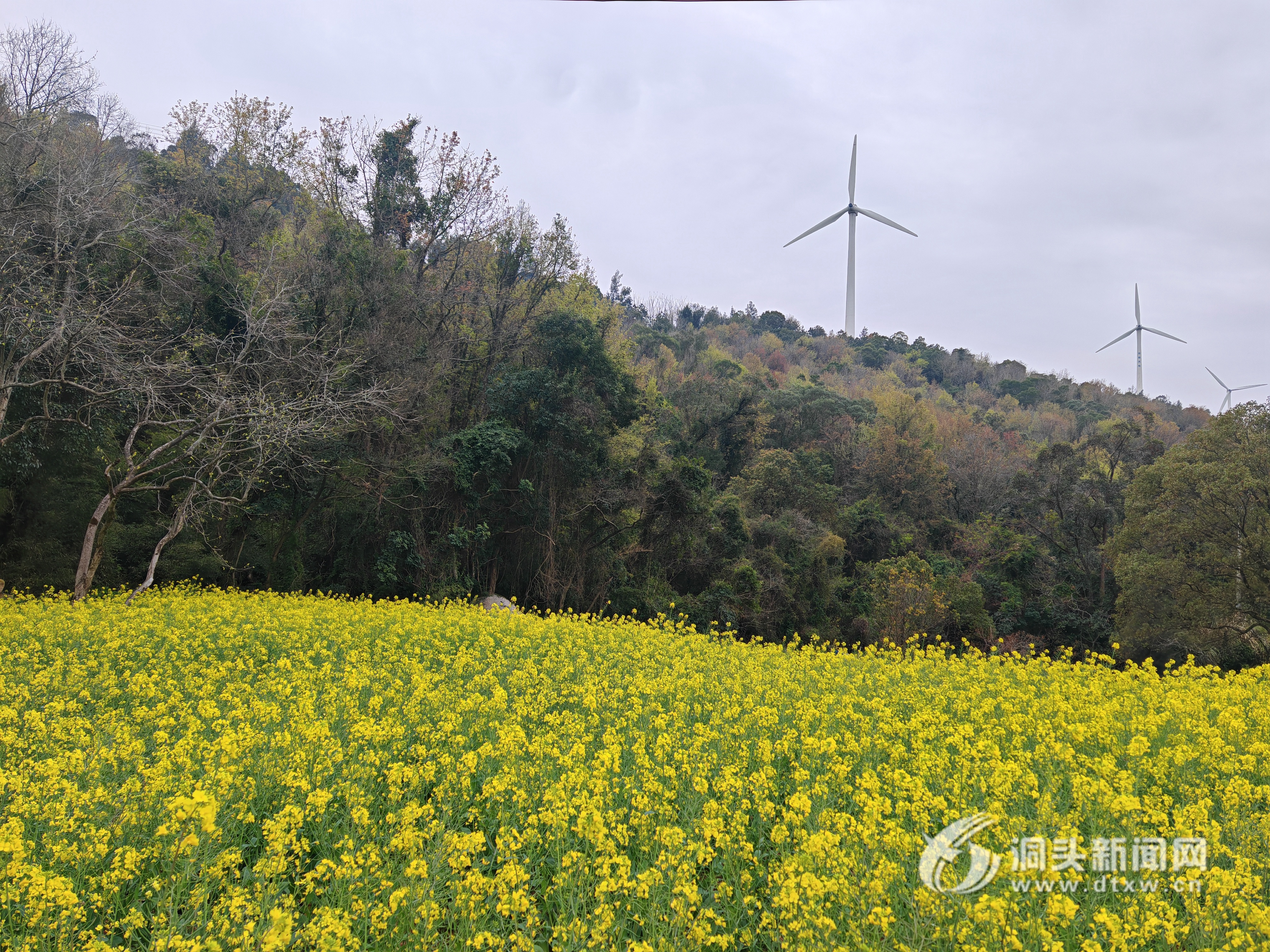 ������������������ ����ƽ��