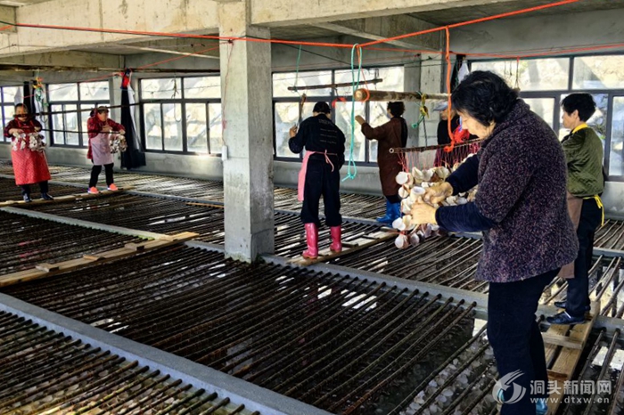 �ȱ����������¸��硱 ��ͷ�ϲ�ӭ�����硰�ƽ��ڡ�