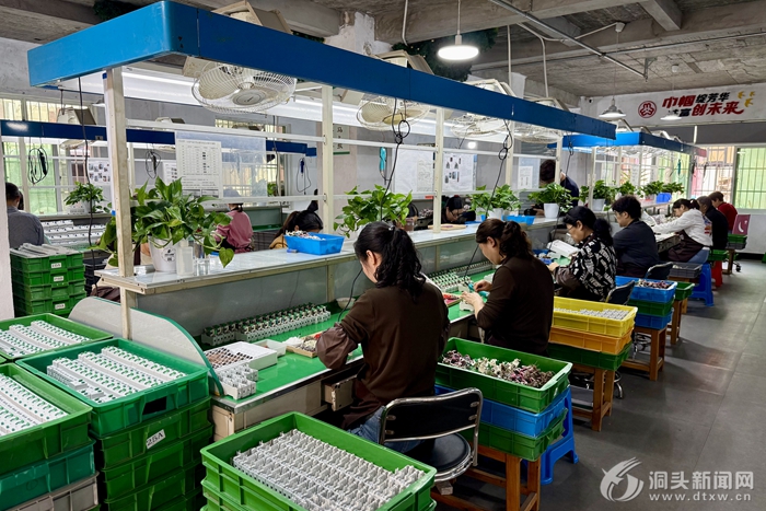 ������Ĺ�������ح��Ϫ�����ӹ���������������С���ƴ��������ͼ��