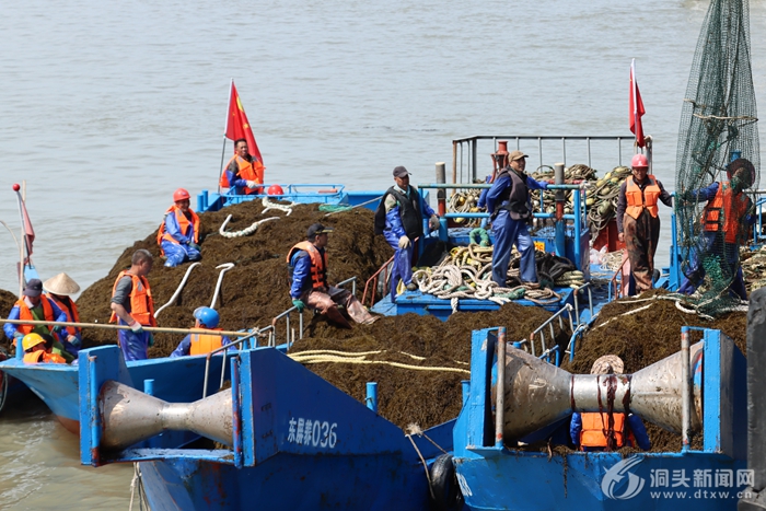 ���ϴ���æ����ͷ�����ٲˡ�����̾͹���·